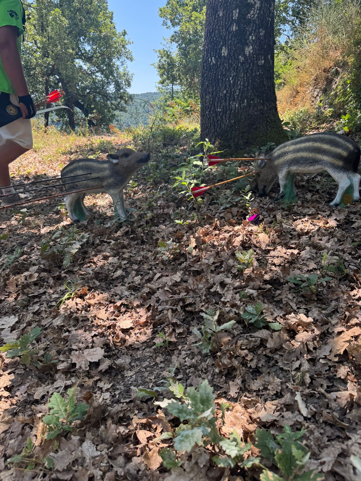 Sagome 3D di cinghialetti nel bosco